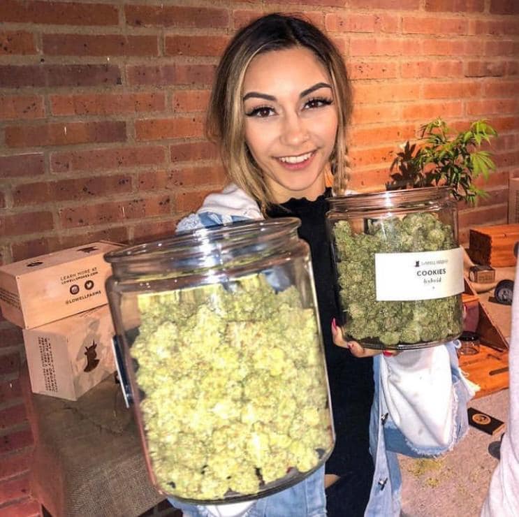 cannabis kaufen deutschland