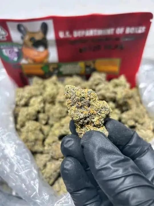 marihuanas kaufen