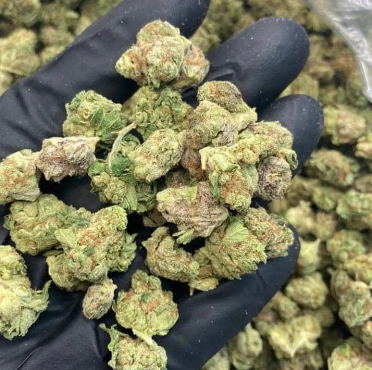 marihuana kaufen