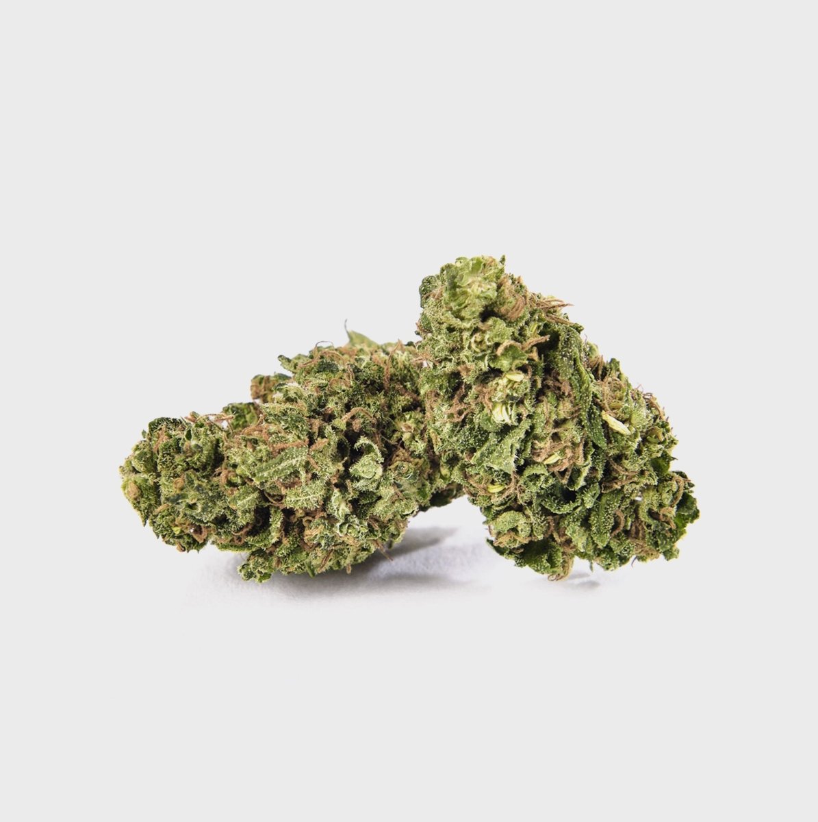 🇺🇸 Amnesia Haze 22% Cali CBD