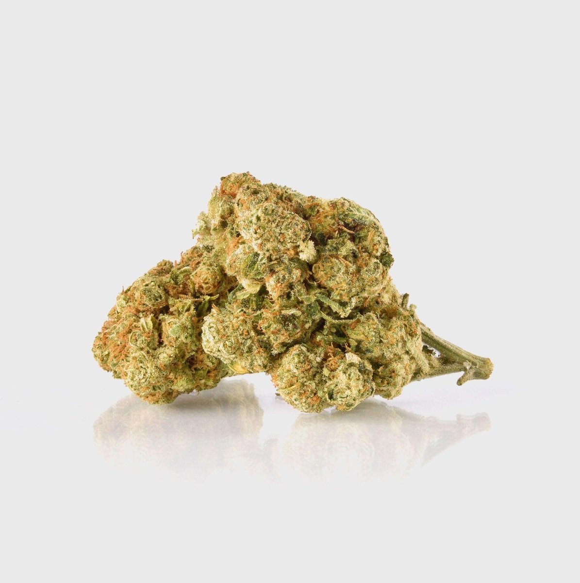 Kaufen😶‍🌫️ Amnesia Haze - Power LVL: 5/5 online