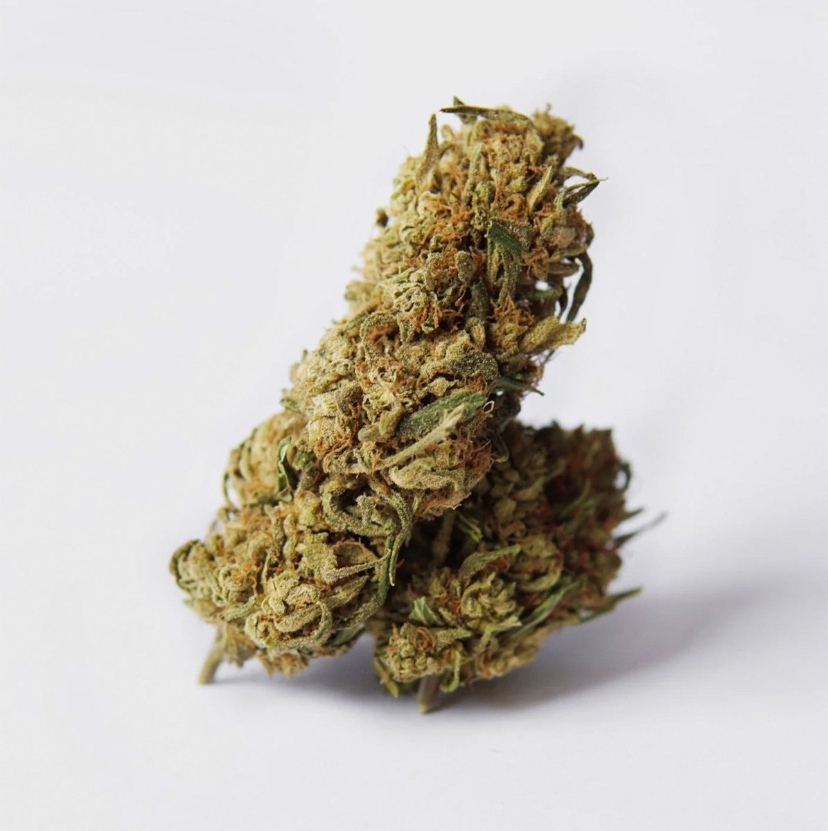 Big Buds 9% CBG online kaufen🥦