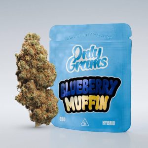Kaufen Sie Blueberry Muffin - CBD Blüte 13% online
