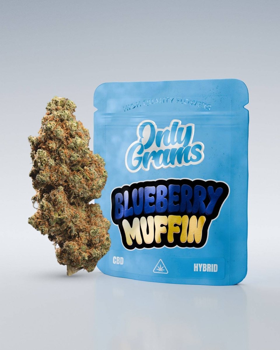 Kaufen Sie Blueberry Muffin - CBD Blüte 13% online