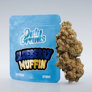 Kaufen Sie Blueberry Muffin - Superior Blüte 40% online