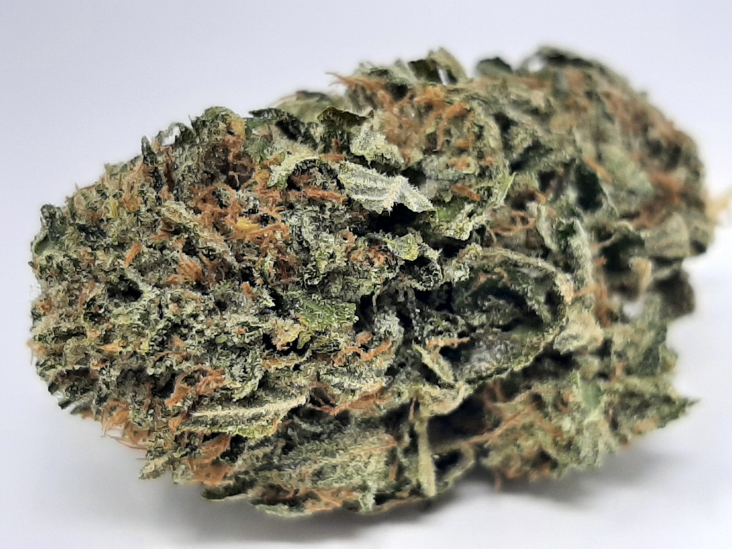 Kaufen Sie AAA+ Rockstar Kush online
