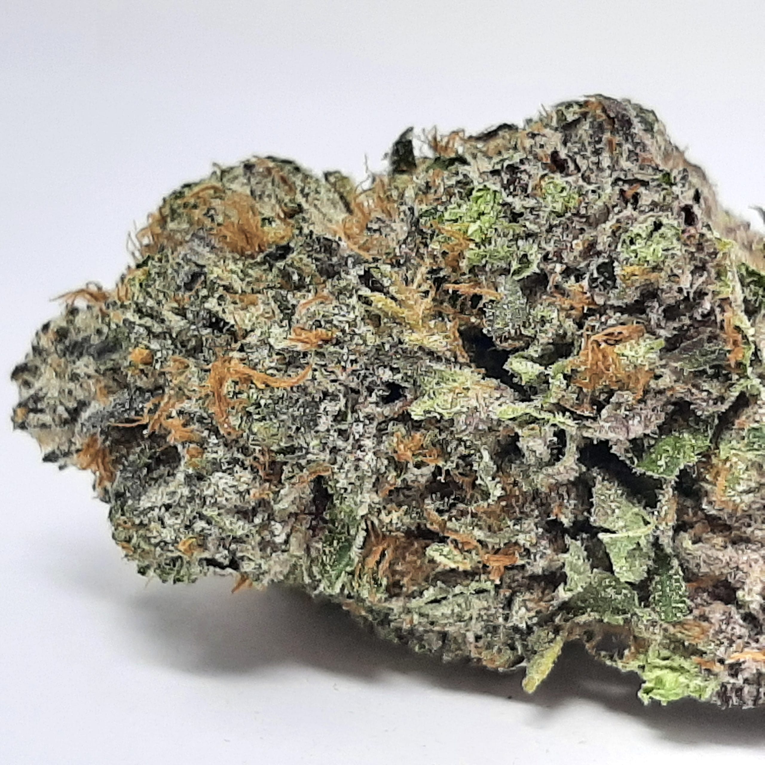 Buy AAAA+ Diablo Death Bubba By Green Valley online
