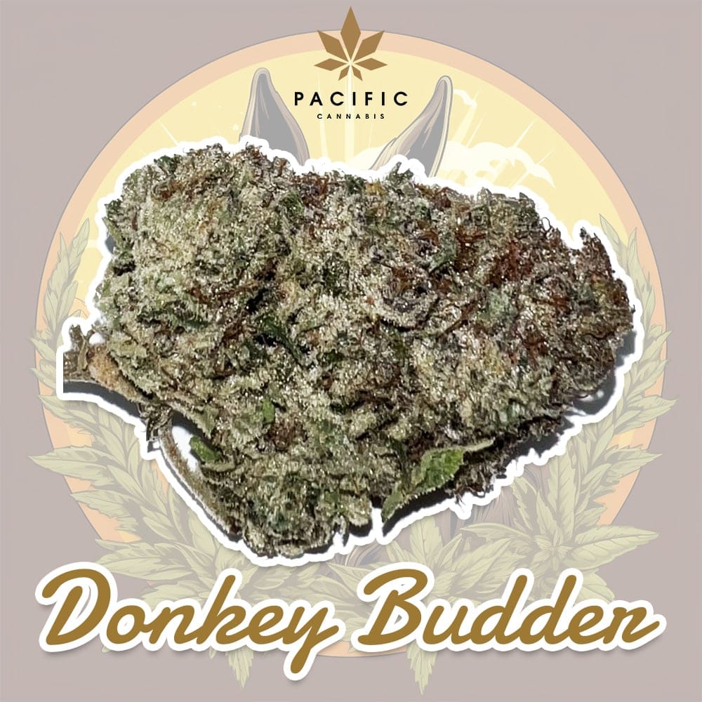 Donkey Butter kaufen – Craft Cannabis – Ernte #2 online