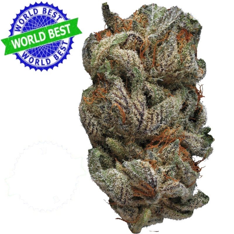 Cali Haze Ms. Nebula Indoor CBD Blüten 10g online kaufen