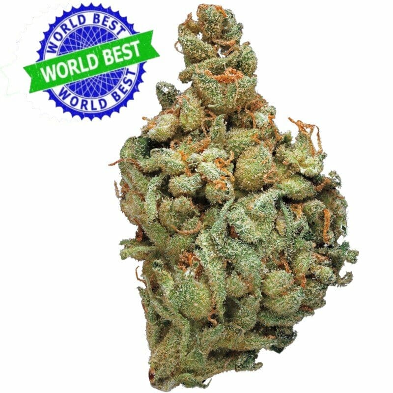 Kaufen Sie Cali Haze Ms. Solar Indoor CBD Blüten 10g online