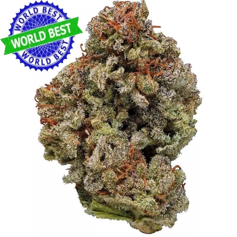 Cali Haze White Widow Indoor CBD Blüten 10g online kaufen