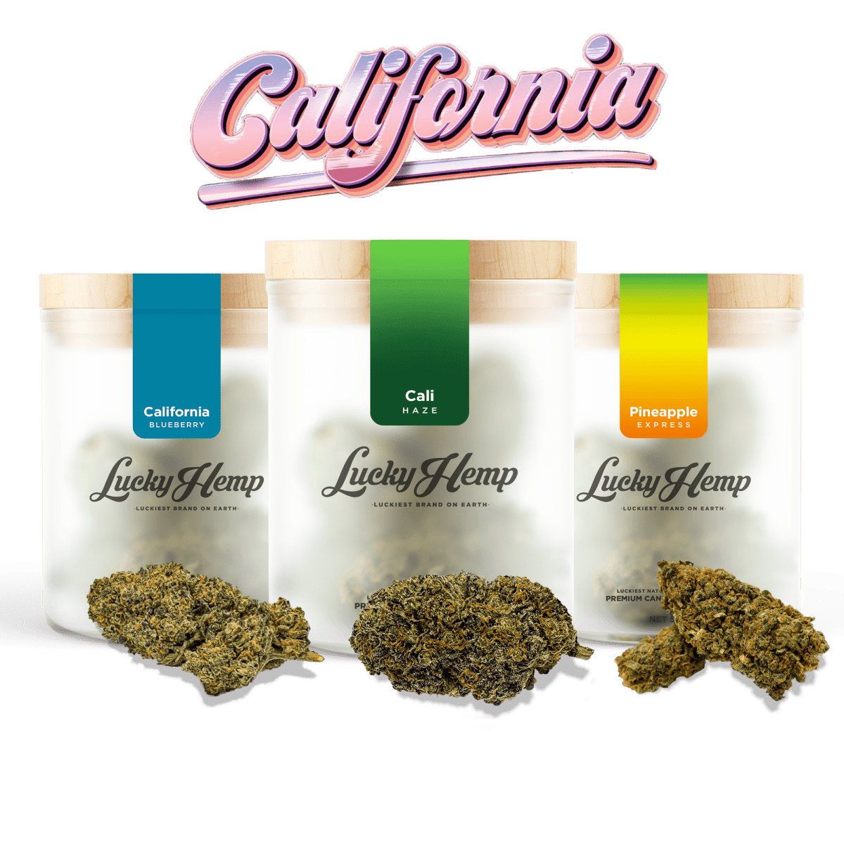 Cali-Set online kaufen
