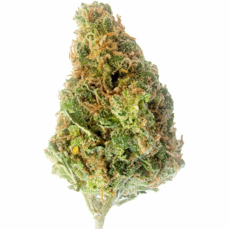 Kaufen Sie California Durban Poison Indoor CBD Blüten 10g online