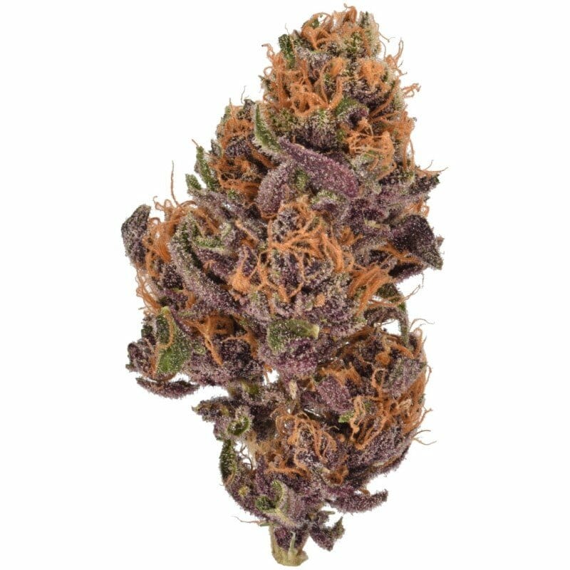 Kaufen Sie California Fleur Purple Kush „Q“ Indoor CBD Blüten 10g online