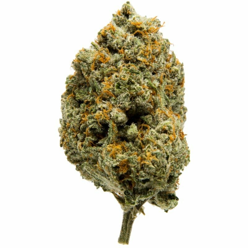 Kaufen Sie California Sherbert -C- Indoor CBD Blüten 10g online