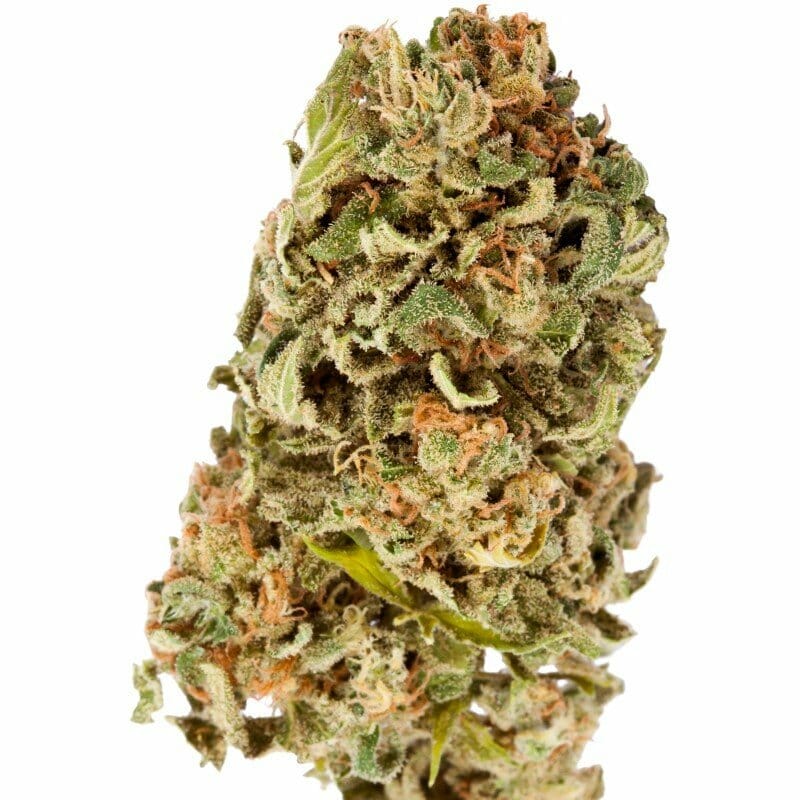 Kaufen Sie Cantonic -C- Treibhaus CBD Blüten 10g online