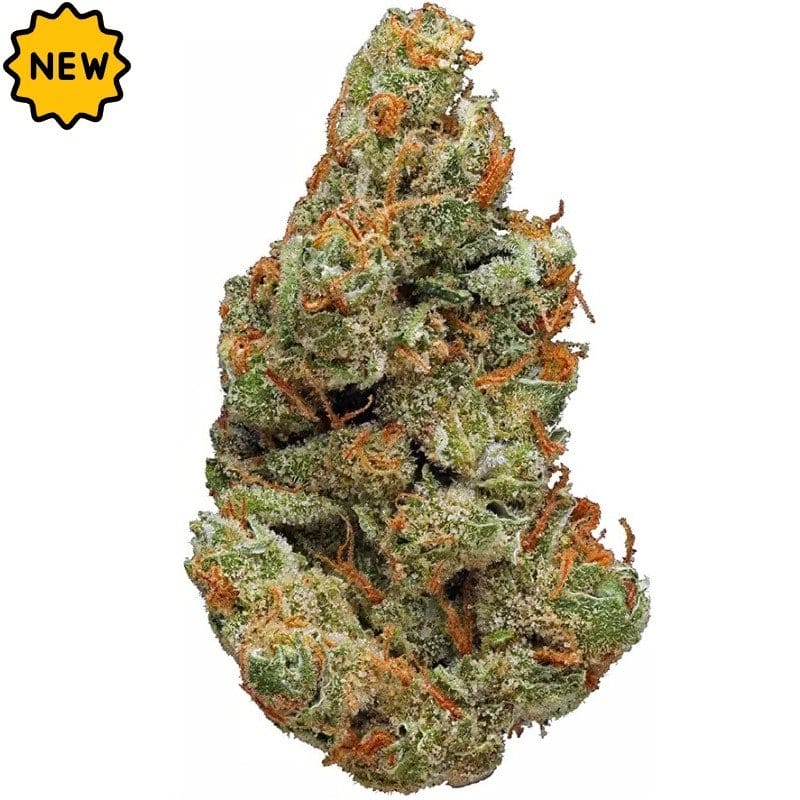 Kaufen Sie Colorado Bubba Kush Indoor CBD Blüten 10g online