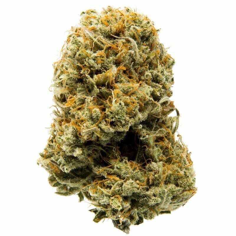 Kaufen Sie Colorado Mango Indoor CBD Blüten 10g online