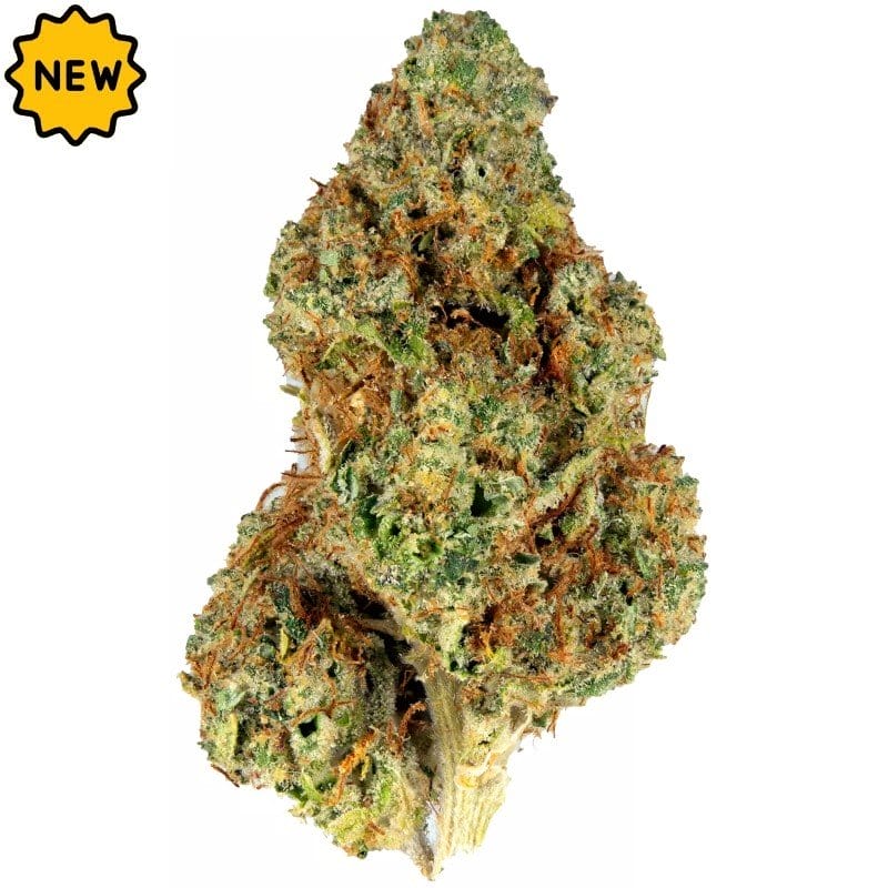 Kaufen Sie Colorado Silver Haze Indoor CBD Blüten 10g online