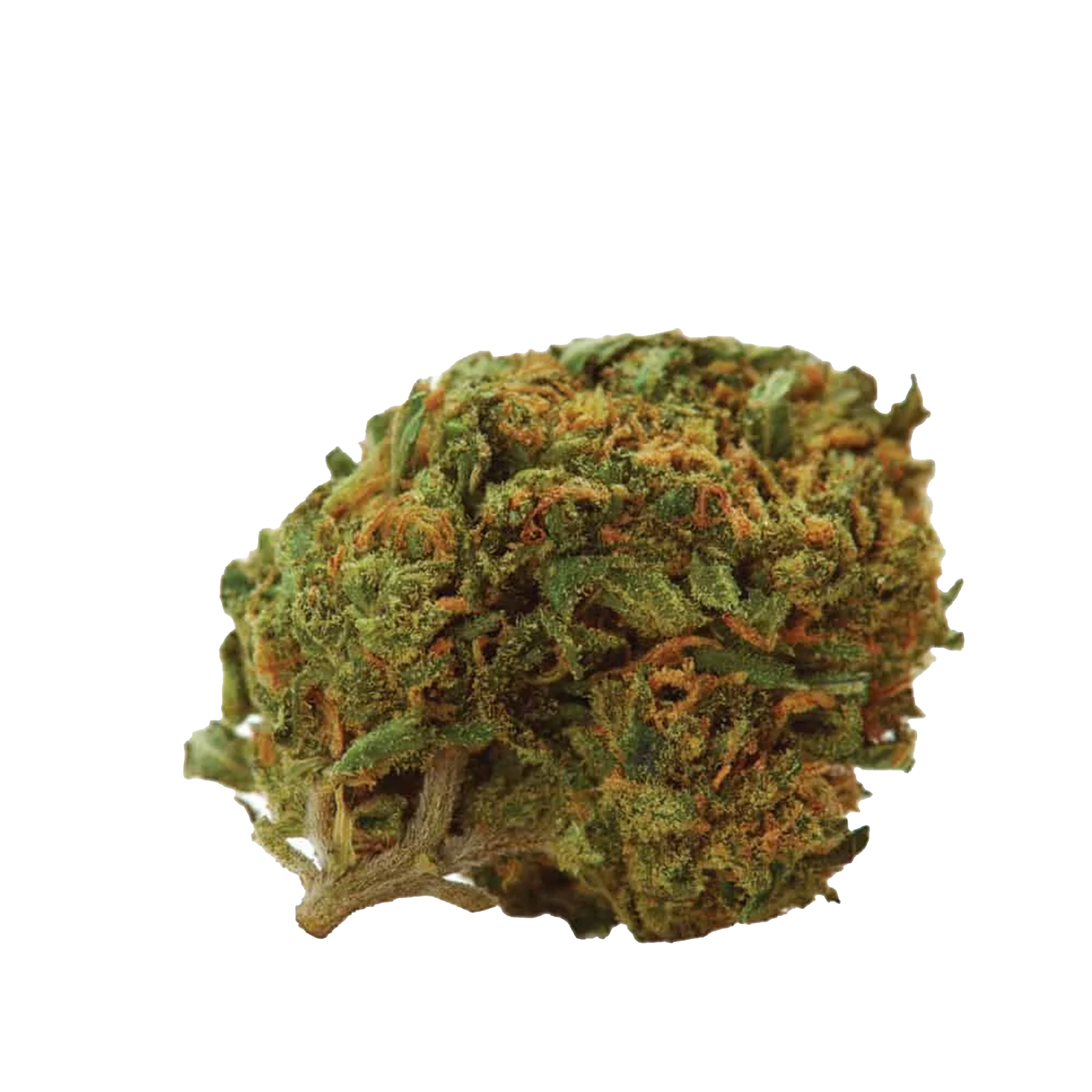 Durban Cannabis Samen Premium THC 12% online kaufen