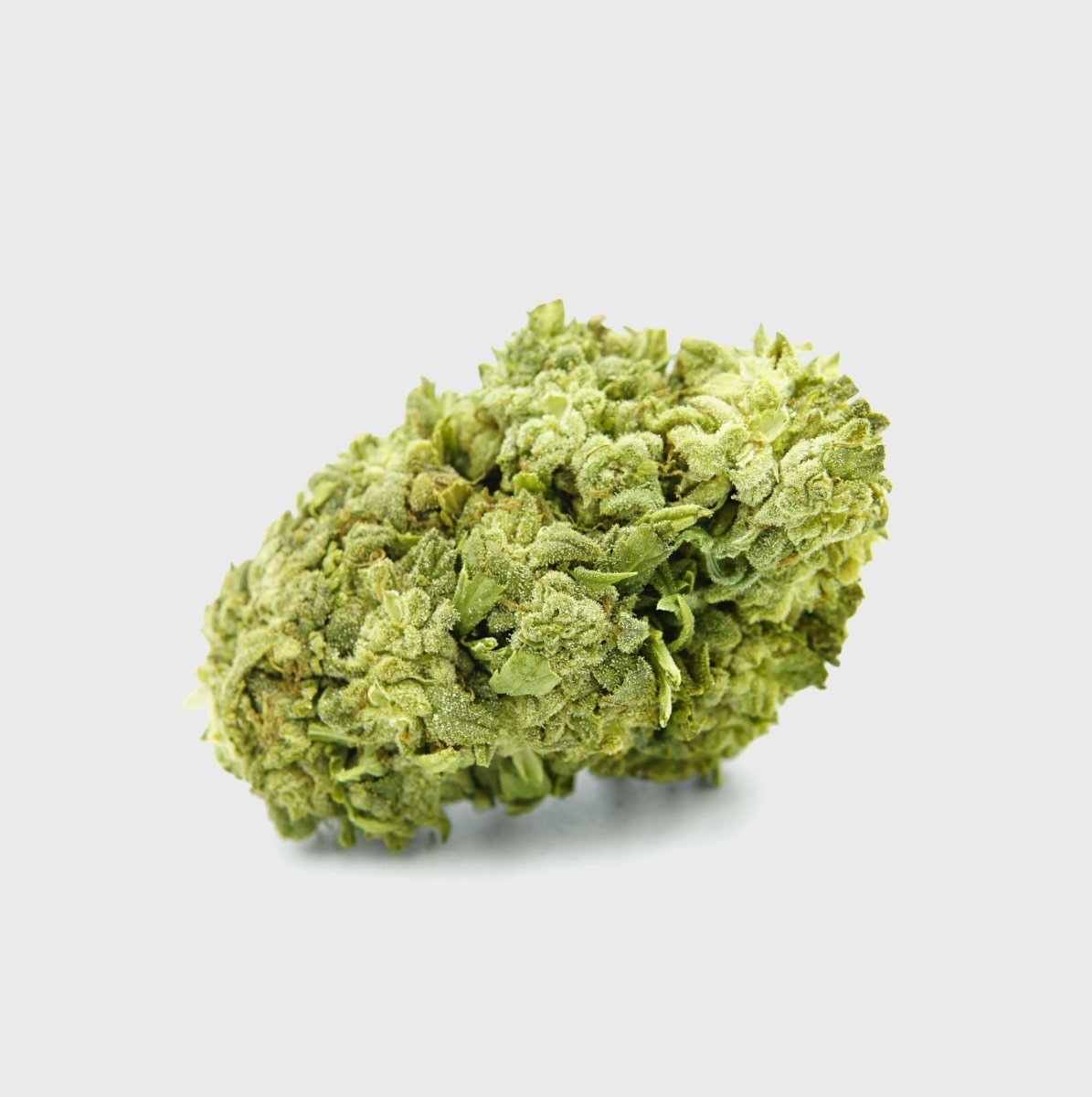 Jetzt Online Kaufen🧊🍪 Frosted Cookies 55% Superior