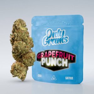 Grapefruit Punch - CBD Blüte 13% online kaufen