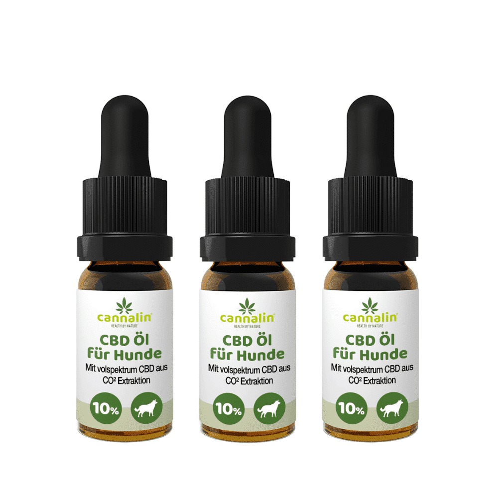 Kaufen Sie CBD Öl für Hunde mit Lachsöl 10% 10ml online