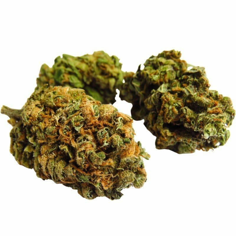 Indoor Popcorn Nugs „P“, Gewicht: 10g online kaufen