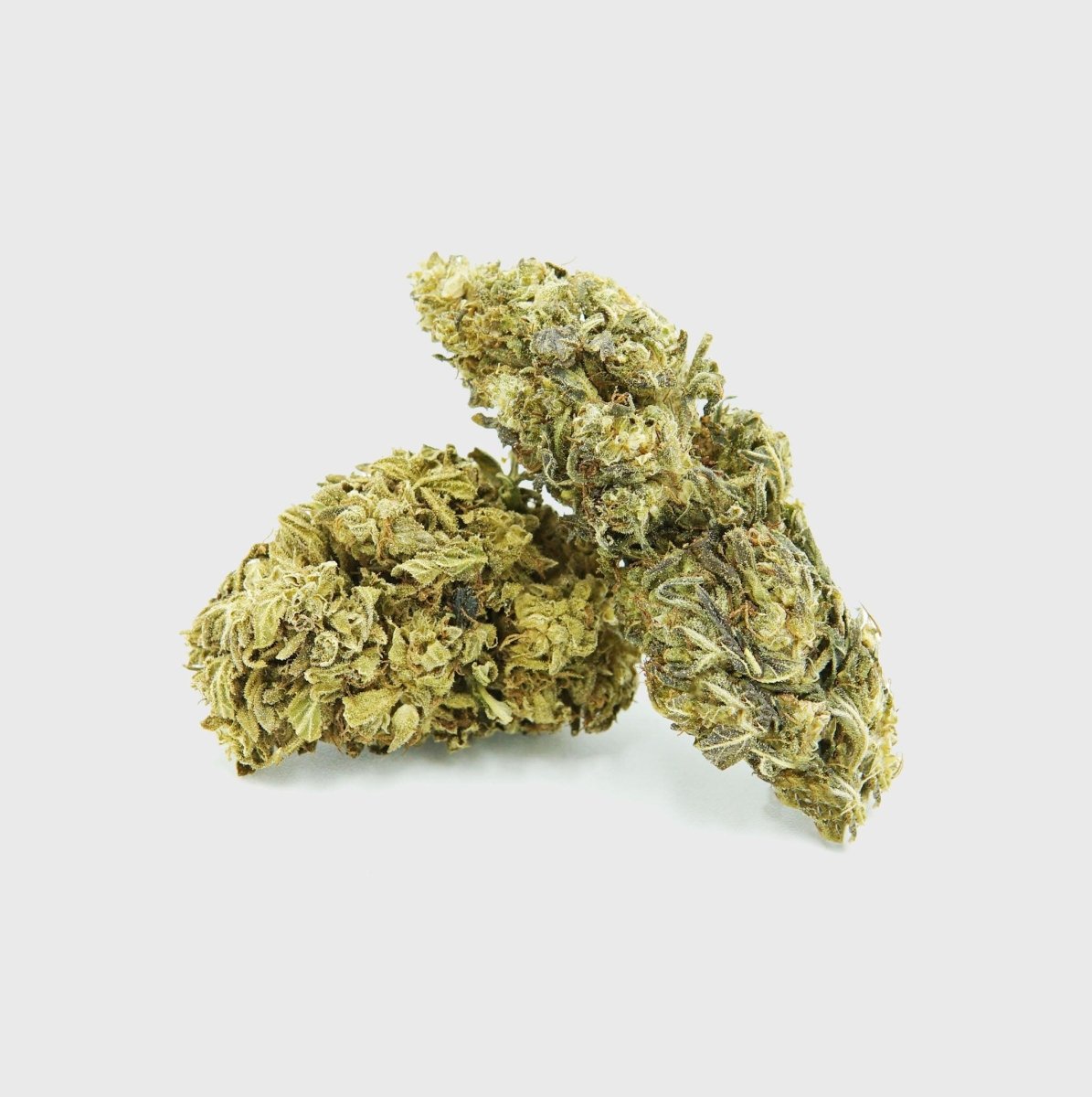 Lemon King - Power LVL 5/5 jetzt online kaufen🍋