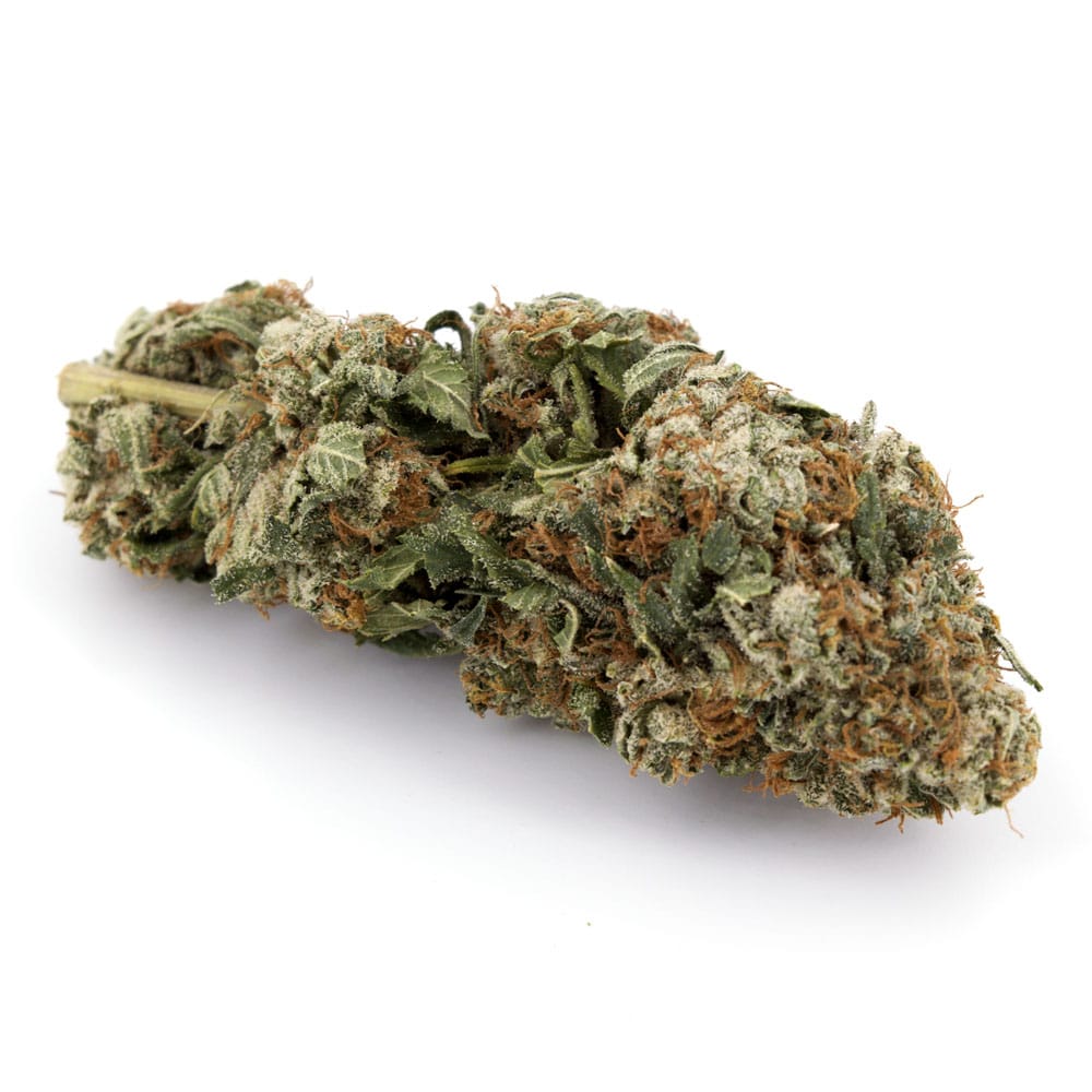 Master Kush (AA) online kaufen