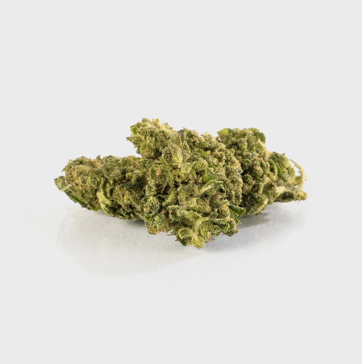 Jetzt Kaufen🍉 Melon Kush - POWER LVL: 4/5 Online