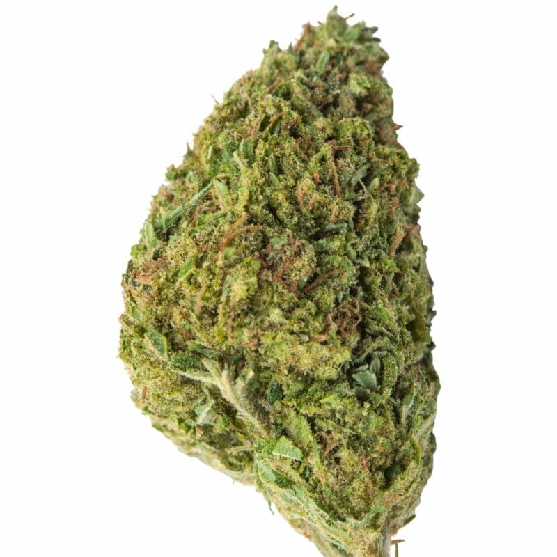 Kaufen Sie Michigan Skywalker Indoor CBD Blüten 10g online