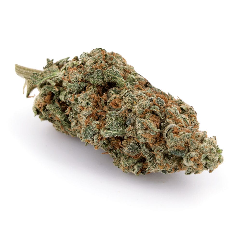 Moby Dick (AAA) Online Kaufen