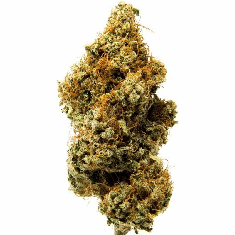 Kaufen Sie Nevada AK-47 Indoor CBD Blüten 10g online