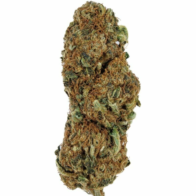 Nevada Tectonic -T- Indoor CBD Blüten 10g online kaufen