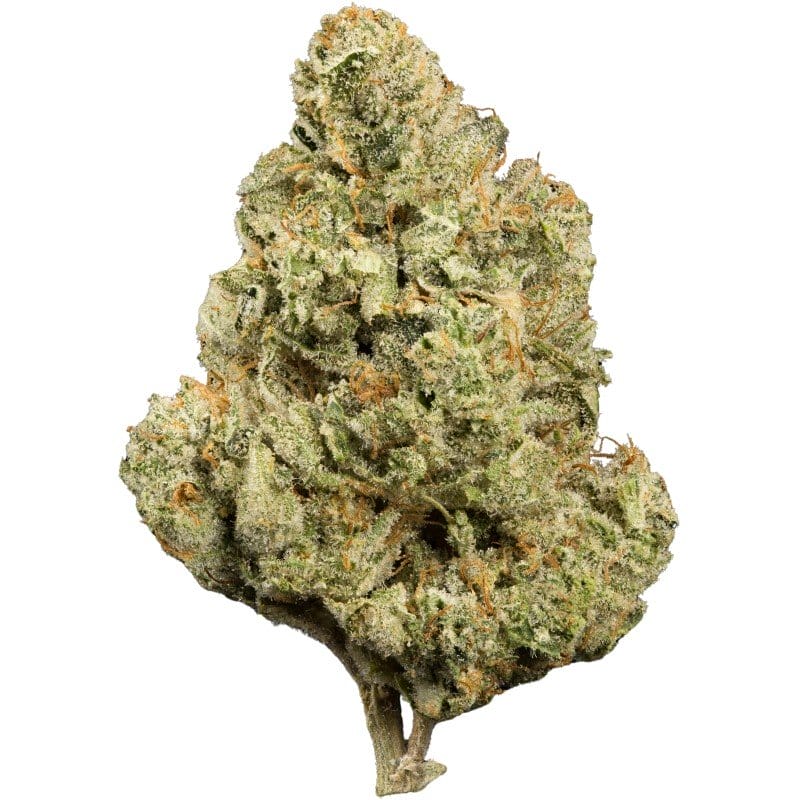 New York Harlequin Indoor CBD Blüten 10g online kaufen