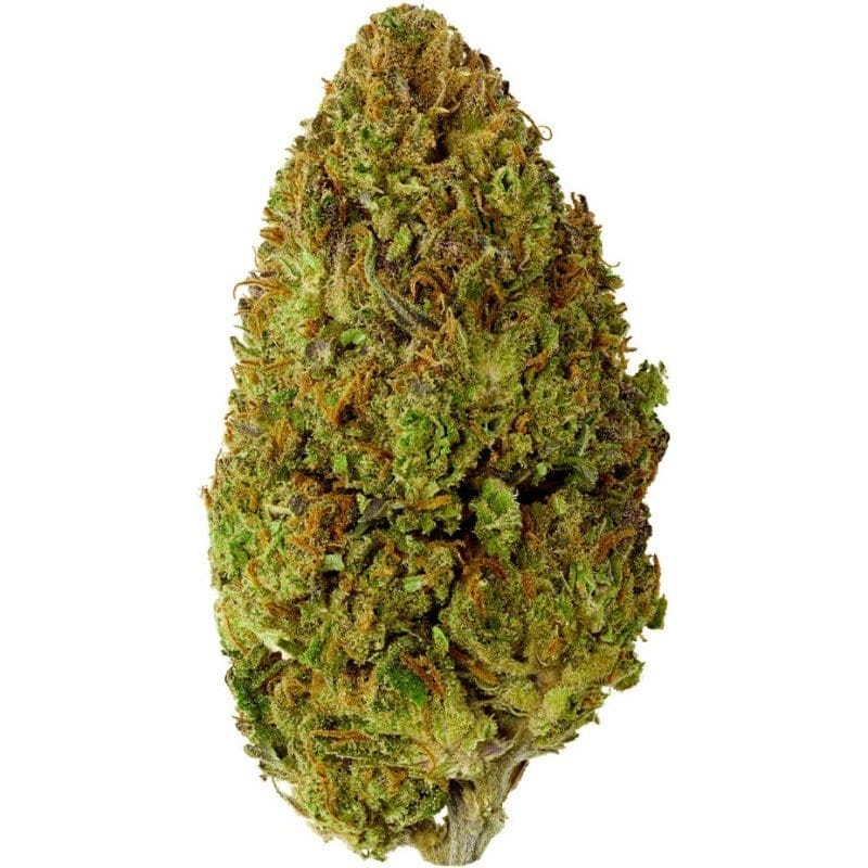 Kaufen Sie New York Joker Indoor CBD Blüten 10g online