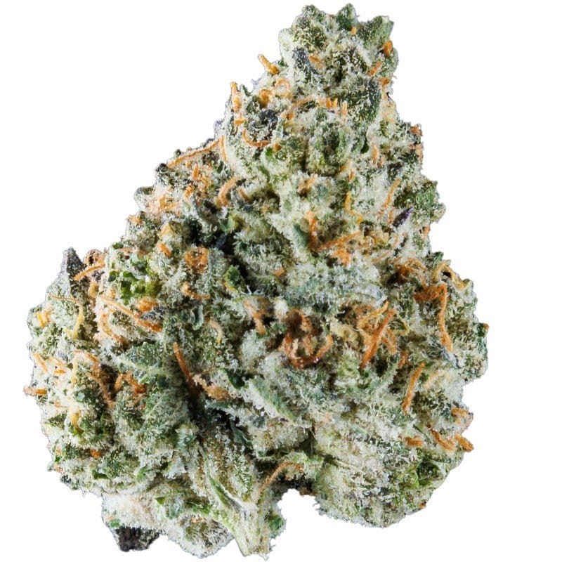 Kaufen Sie New York Master Kush Indoor CBD Blüten 10g online