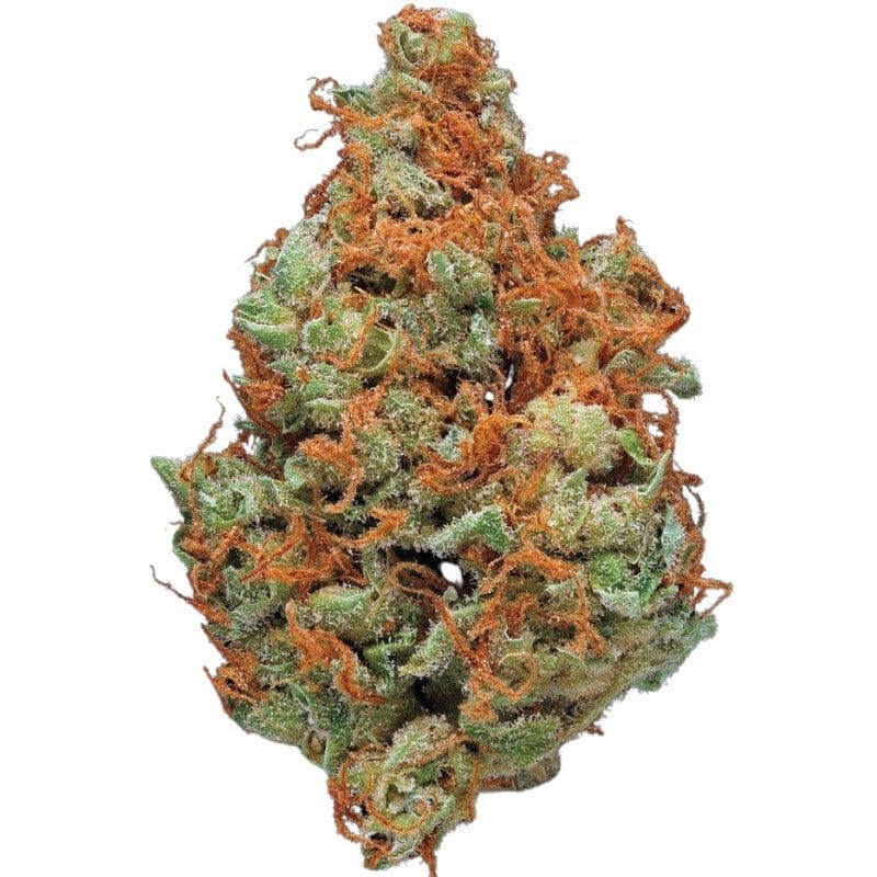 Kaufen Sie New York Superstar Indoor CBD Blüten 10g online