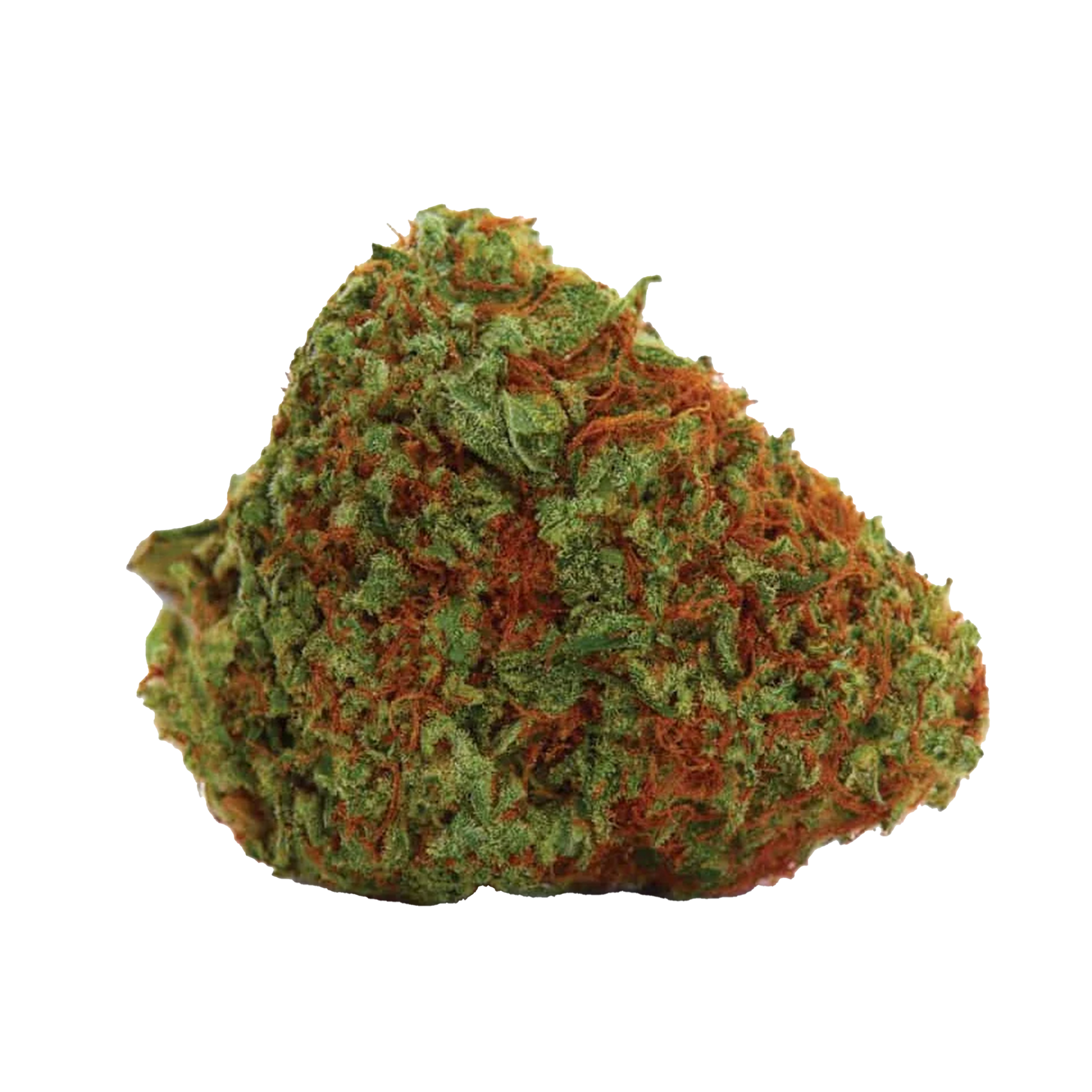 Orange Bud Cannabis-Samen Premium THC 22% online kaufen