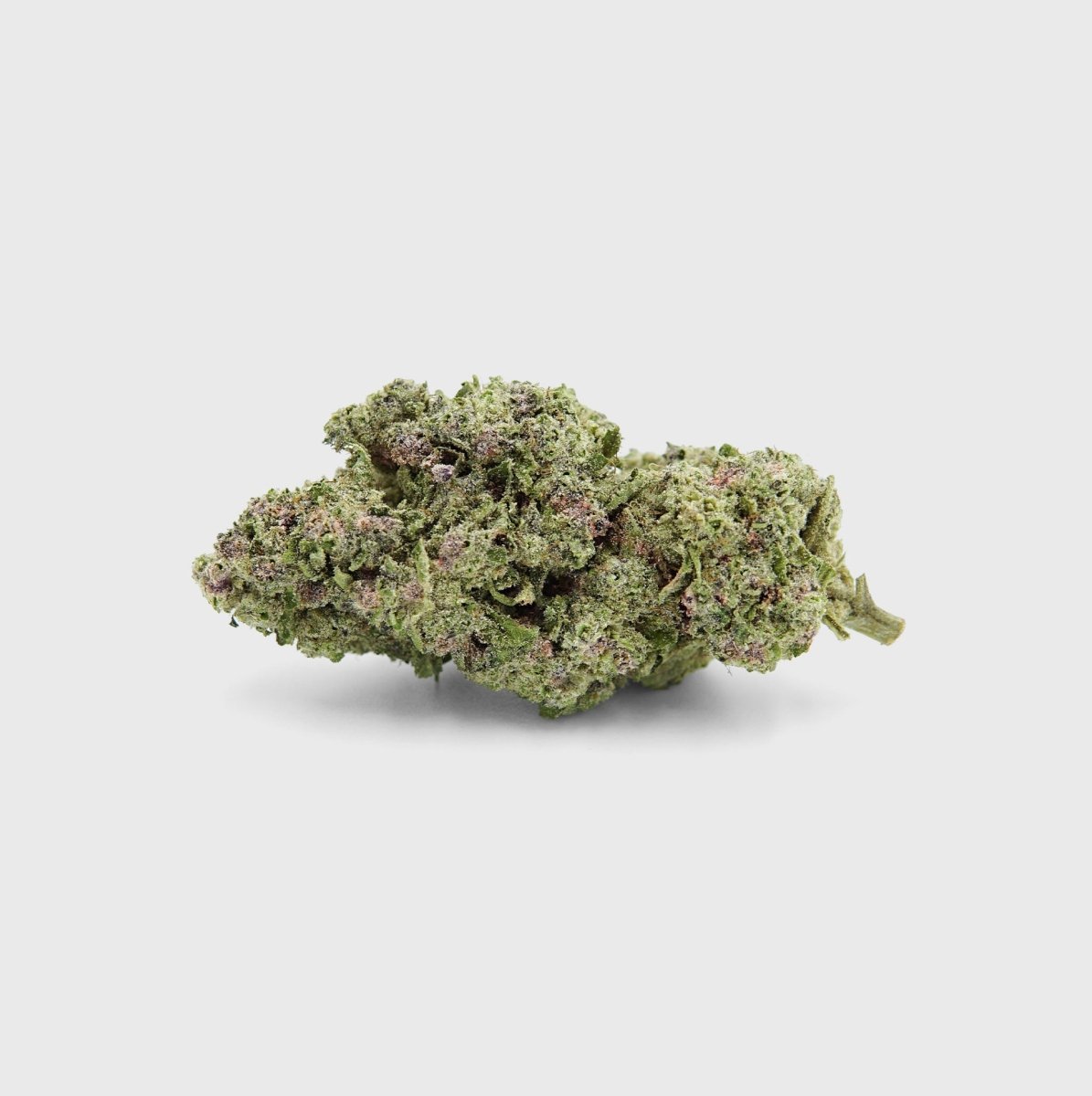 Purple Dash 17% Cali CBG online kaufen 💜