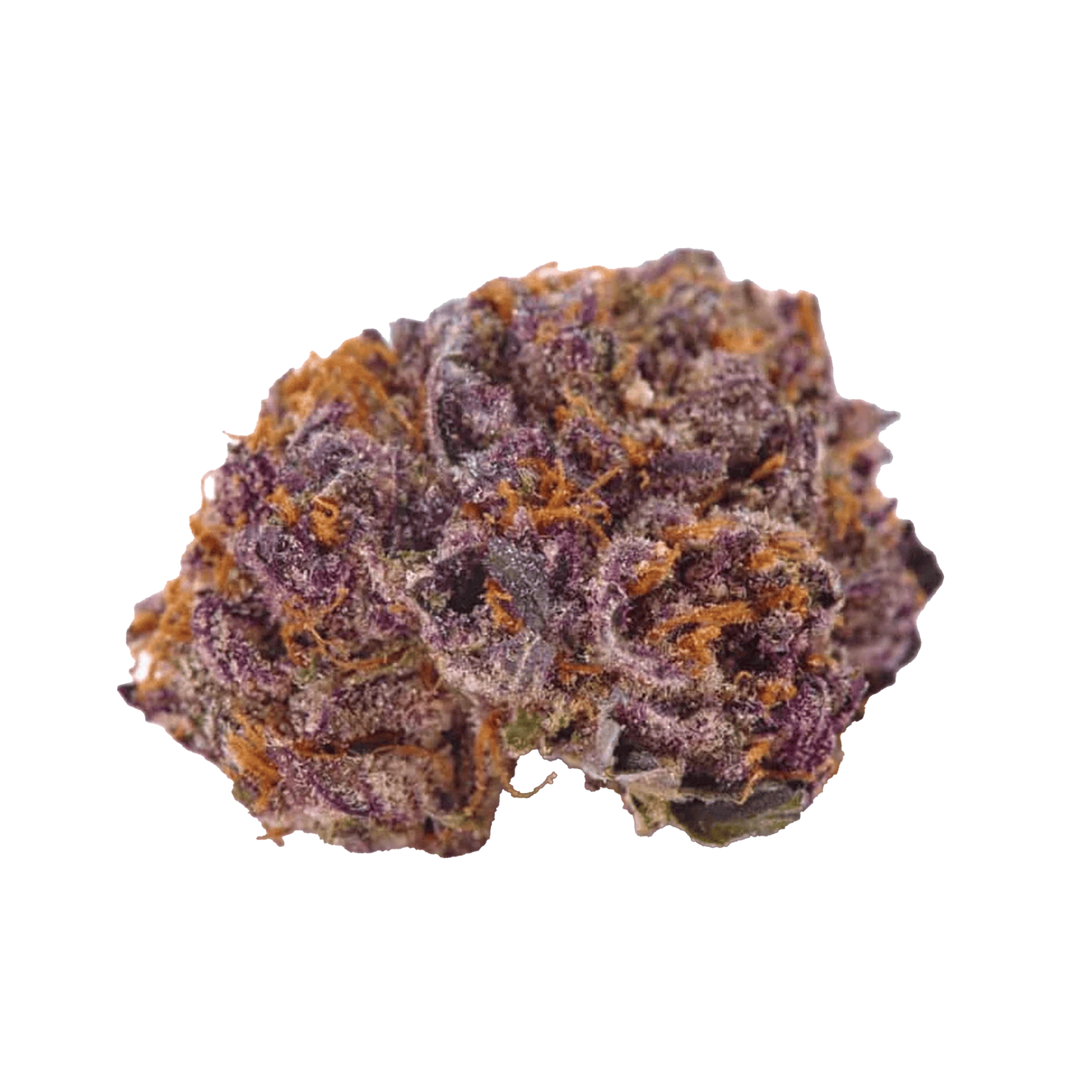 Kaufen Sie Purple Kush Cannabis-Samen Premium THC 21% online