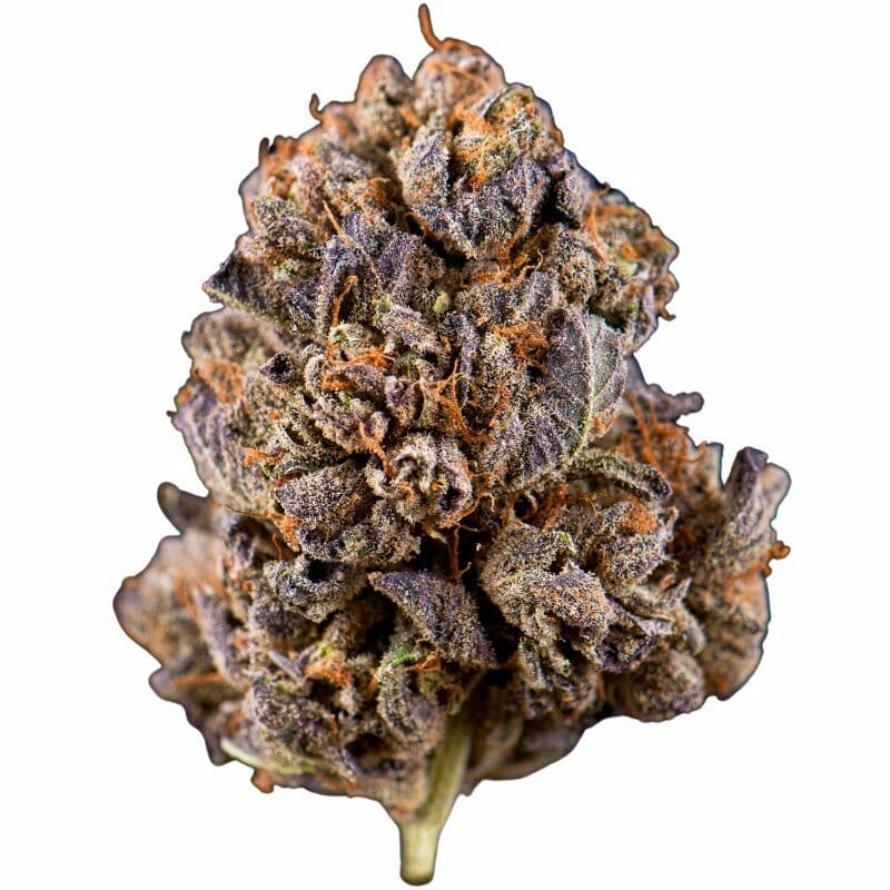 Purple Punch Outdoor CBD Blüten 10g online kaufen