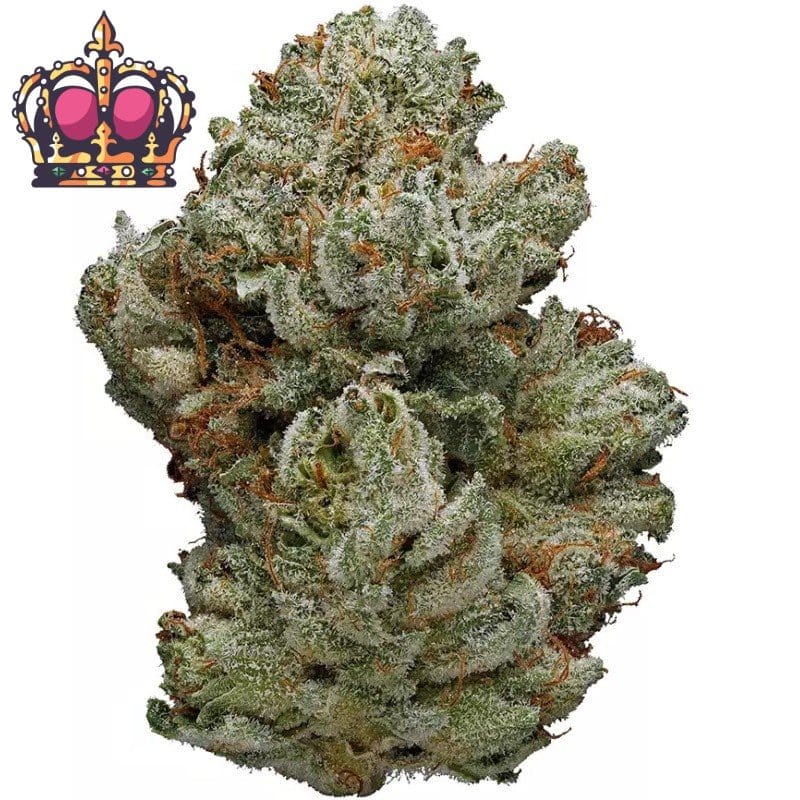 Kaufen Sie Queen Canada Gelato Indoor CBD Blüten 10g online