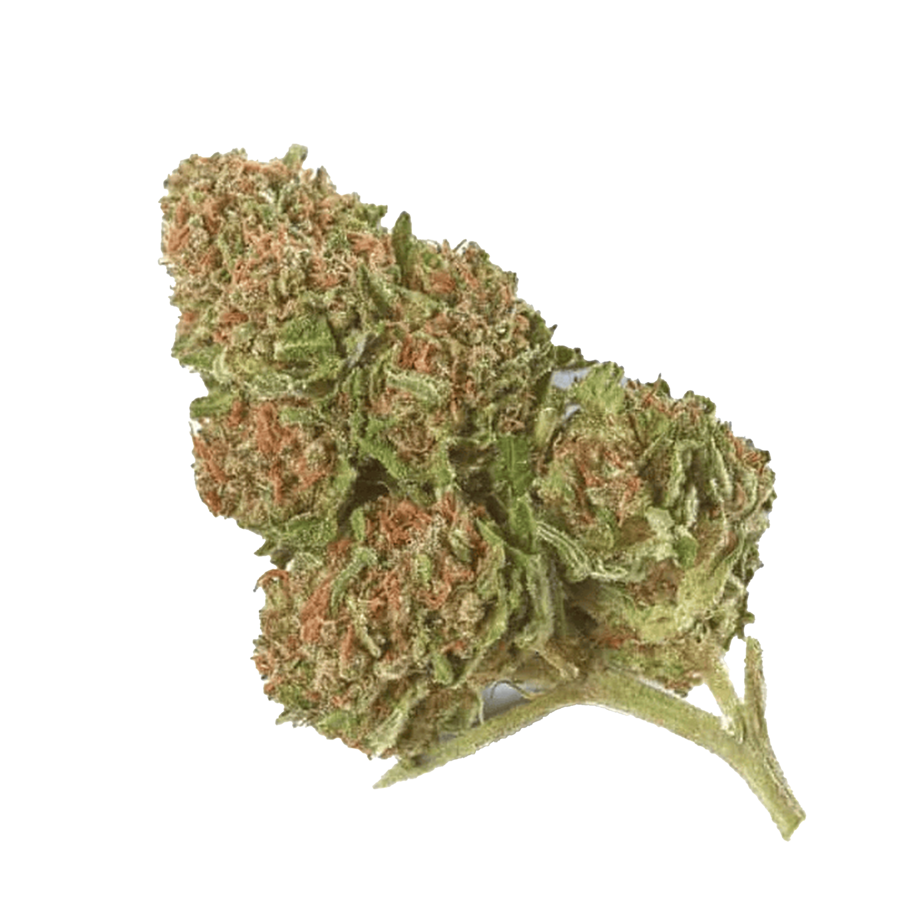 Skunk Cannabis Samen Premium THC 22% online kaufen