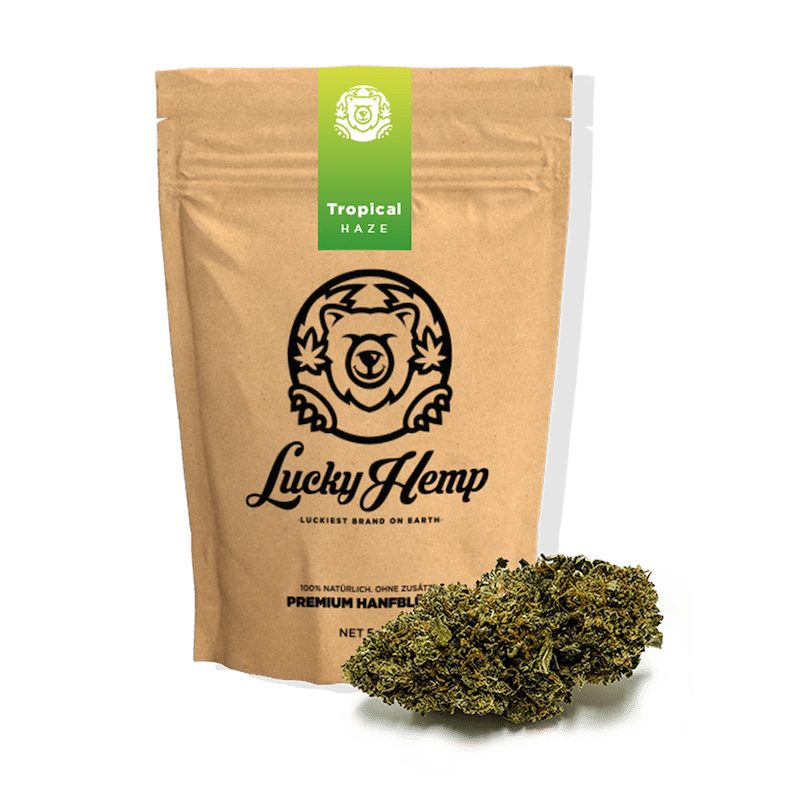 Tropical Haze Ökopack