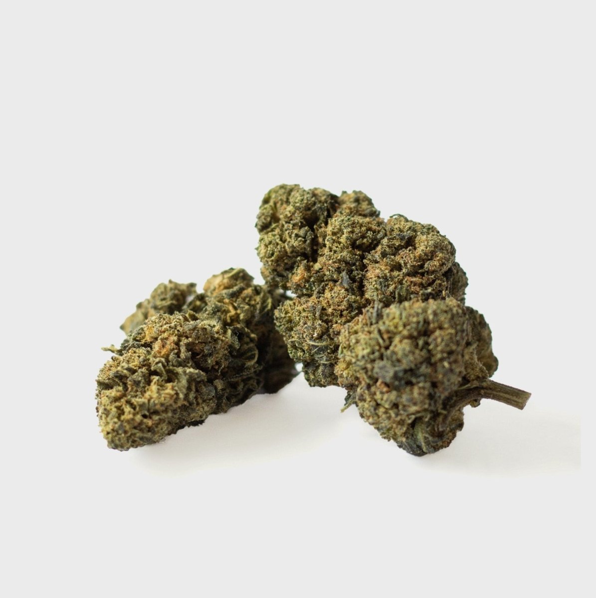 Kaufen🍇 Tutti Frutti 24% CBD online