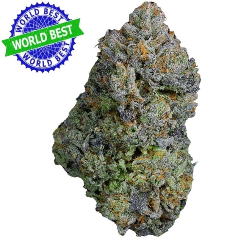 Kaufen Sie Cali Haze Ms. Multiverse Indoor CBD Blüten 10g online