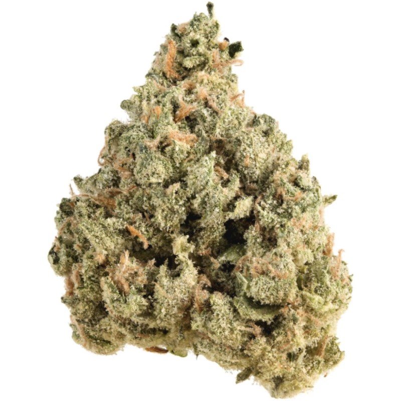 California Ice Cream Cake Indoor CBD Blüten 10g online kaufen