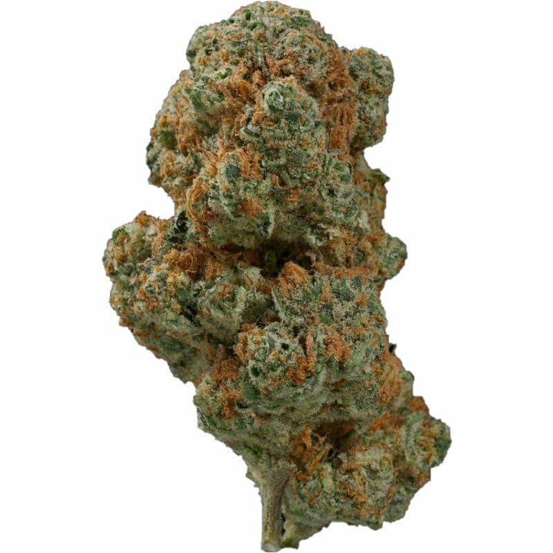 Nevada Berry Cough Indoor CBD Blüten 10g online kaufen
